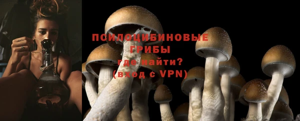 молекула духа Армянск