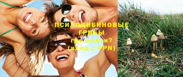 дурь Арсеньев