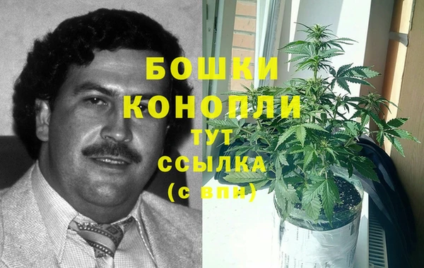 молекула духа Армянск